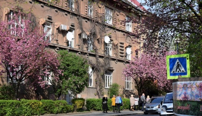 Туристів запрошують в Ужгород милуватися цвітінням сакур – 11 Туристів запрошують в Ужгород милуватися цвітінням сакур – 11