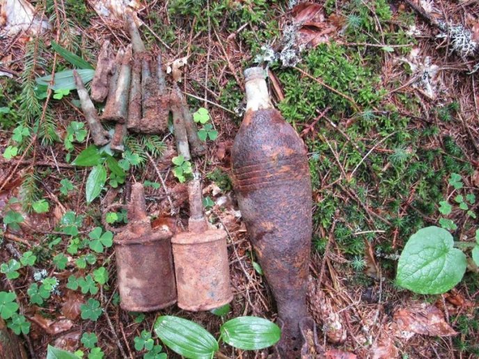 На Закарпатті турист виявив небезпечну знахідку – 01