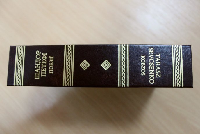 Художник Аттіла Коприва двомовно читав школярам вірші Лесі Українки – 04