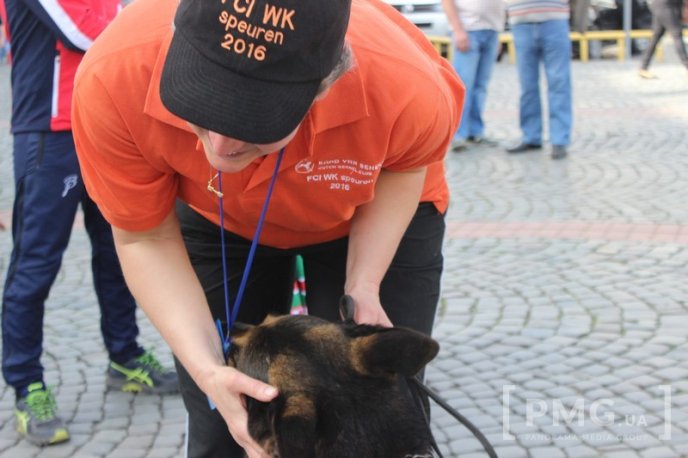 У Мукачеві урочисто відкрили чемпіонат світу зі слідової роботи службових собак – 23