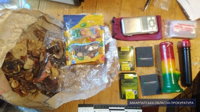 Молода пара продавала галюциногенні гриби – 03