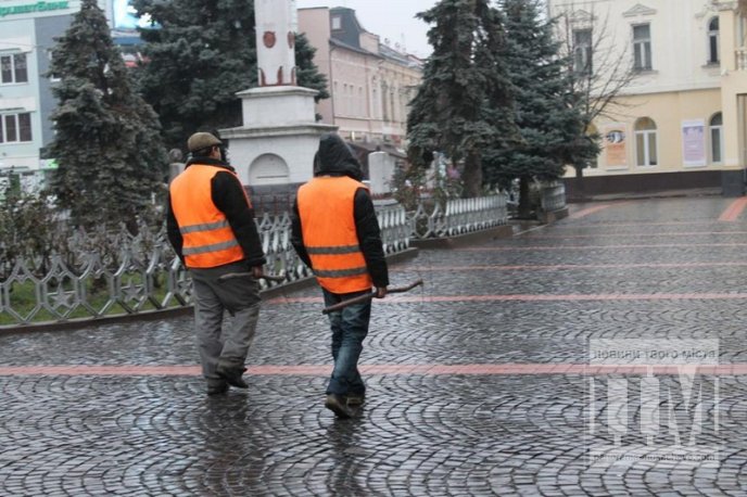 У Мукачеві комунальники досі "ганяються" за бездомними собаками (ФОТОФАКТ) – 04