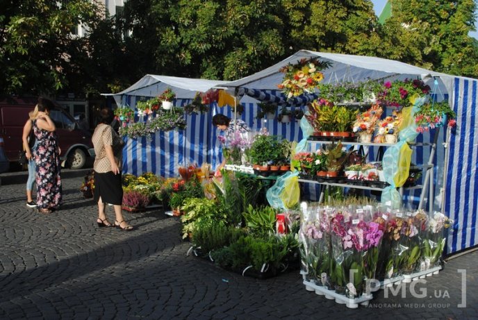 У Мукачеві розпочався "Медовий ярмарок – 2015" – 27