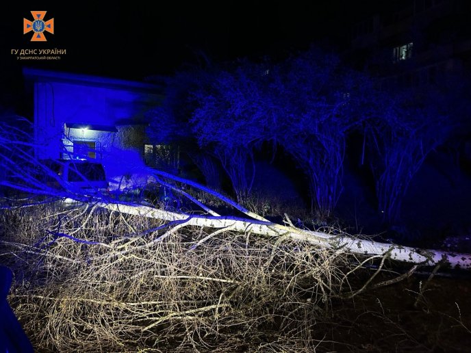 Повалені дерева, зірвані дахи, знеструмлені села: що вночі накоїла негода на Закарпатті – 02