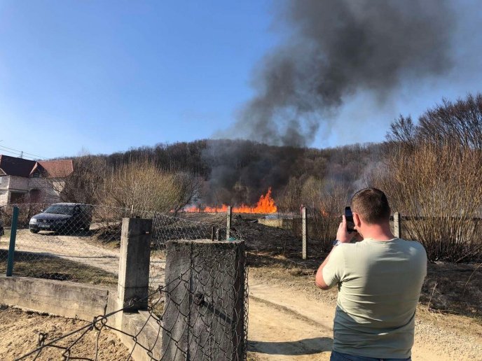 Закарпатці піймали палія сухостою. Він заплатить кілька тисяч штрафу – 01