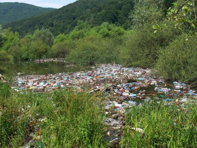 Найбільша штучна водойма Закарпаття нагадує більше смітник: пляжі знищено, а ловити рибу небезпечно – 07
