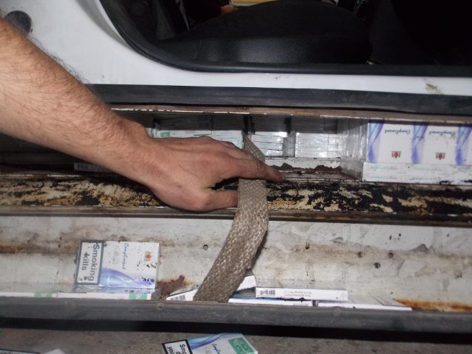 Угорець намагався незаконно перевезти через україно-словацький кордон понад 1,5 тисяч пачок сигарет (ФОТО) – 03