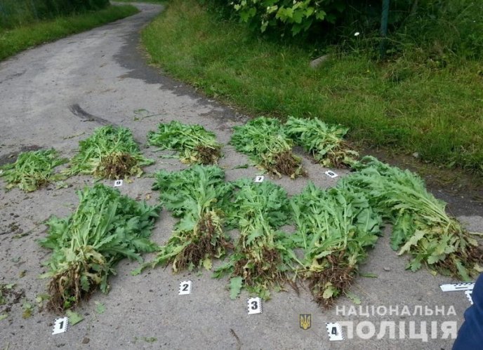 На Перечинщині поліцейський навідався до жінки додому – 02 На Перечинщині поліцейський навідався до жінки додому – 02