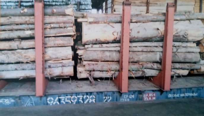 Абсолютна більшість фірм закуповують в Україні кругляк під виглядом "паливної" деревини – 03