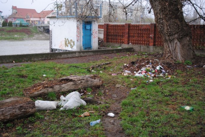 Толока в Мукачеві крізь об’єктив нашого кореспондента (ФОТОРЕПОРТАЖ) – 15