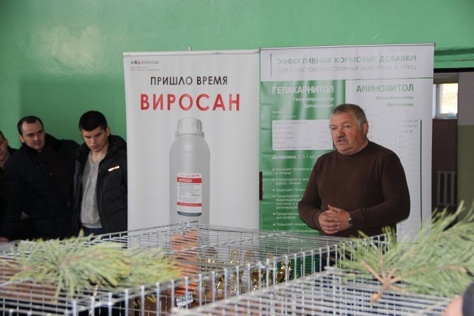 Найкрасивіших кролів показали ужгородцям (ФОТО) – 01