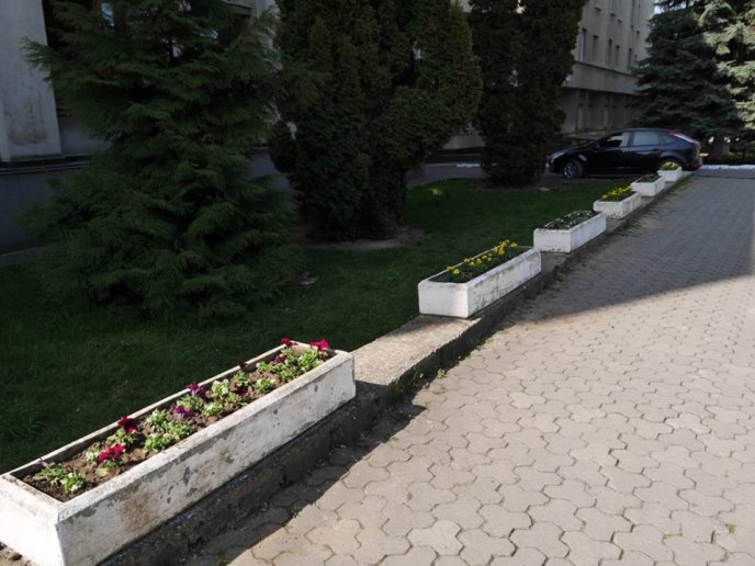 В Ужгороді почали створювати квіткову композицію у формі герба міста – 05
