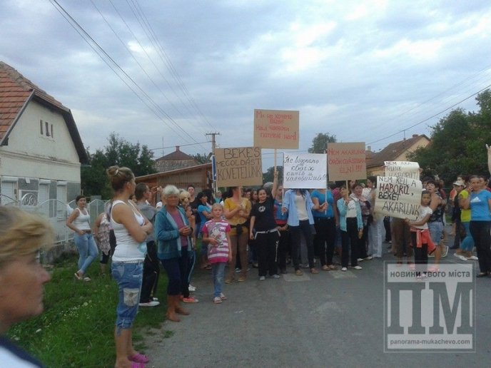На Берегівщині теж перекривали дороги проти мобілізації (ФОТО) – 03