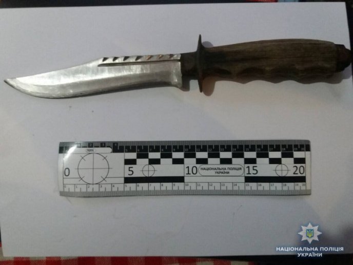 Пістолети, рушниця та ножі: поліція знайшла у двох чоловіків зброю – 02