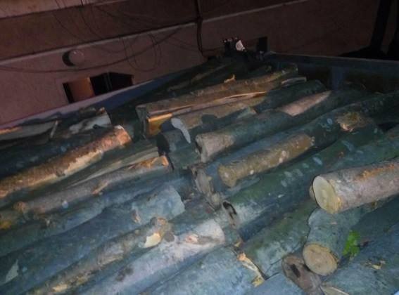 На Перечинщині поліцейські зупинили вантажівку з деревиною – 03