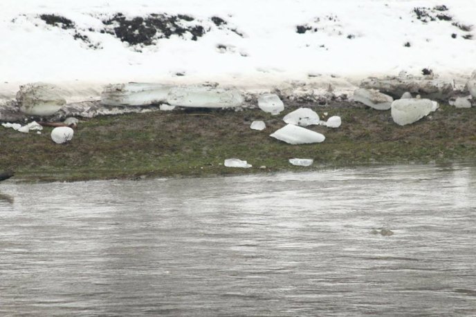 За добу рівень води в Латориці в межах Мукачева впав майже на метр – 05