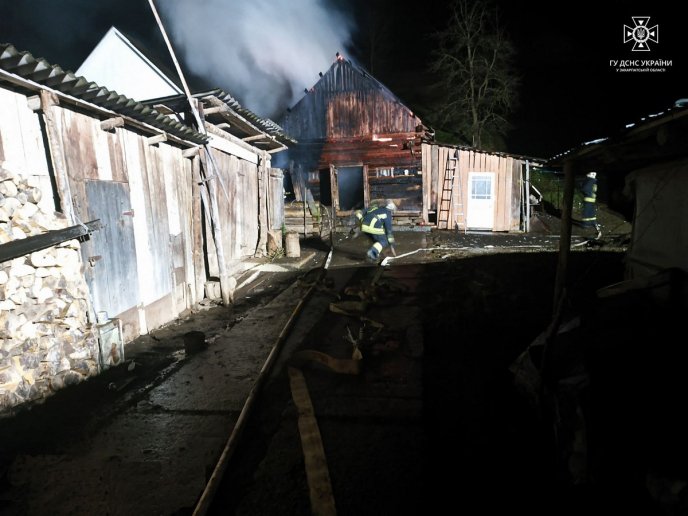 Сусіди забили на сполох: що сталось у закарпатському селі – 04 Сусіди забили на сполох: що сталось у закарпатському селі – 04