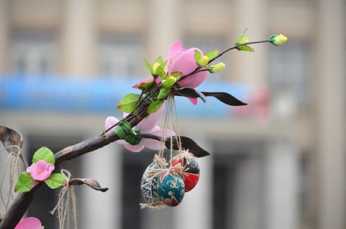 В Ужгороді встановили новий рекорд України – 05