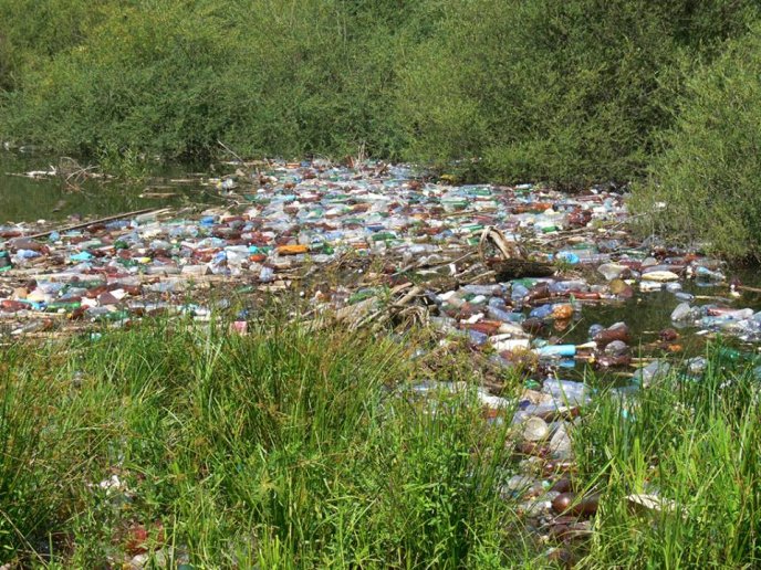 Найбільша штучна водойма Закарпаття нагадує більше смітник: пляжі знищено, а ловити рибу небезпечно – 05