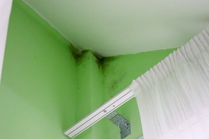 Застосовували покарання та психологічний тиск: поліція розповіла, що коїлось у селі біля Ужгорода – 09 Застосовували покарання та психологічний тиск: поліція розповіла, що коїлось у селі біля Ужгорода – 09