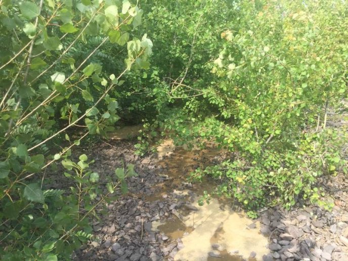 Водій одного із підприємств зливав нечистоти на окраїні Мукачева – 02