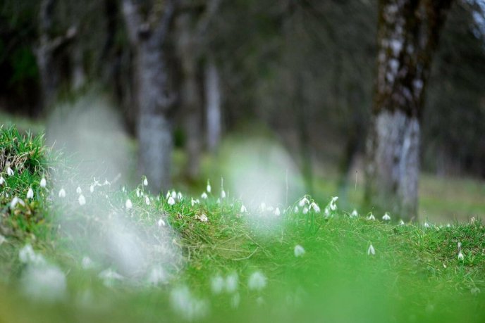 Мальовничі локації на Закарпатті продовжують милувати око своєю красою – 02