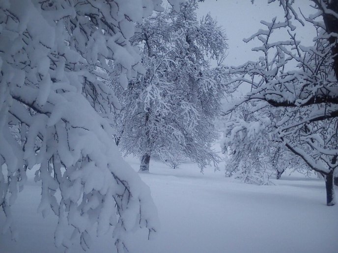 Казкова зима у селі Брестів на Мукачівщині: неймовірні фото – 02