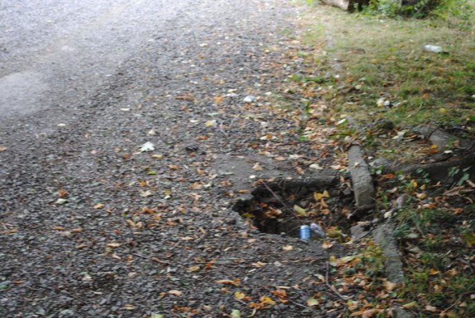 Мукачівці перетворили Комсомольський парк на сміттєзвалище (ФОТОРЕПОРТАЖ) – 03