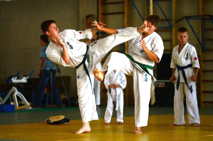 Днями в Ужгороді відбувся Міжнародний фестиваль та семінар бойових мистецтв (ФОТО) – 16