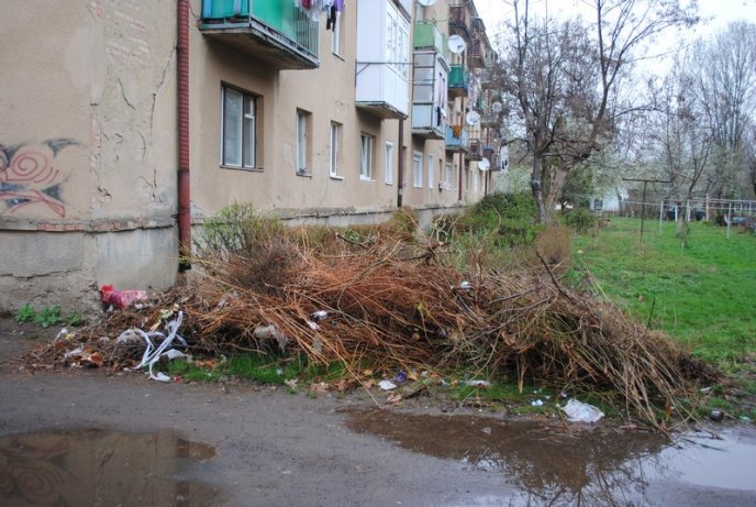 Толока в Мукачеві крізь об’єктив нашого кореспондента (ФОТОРЕПОРТАЖ) – 26