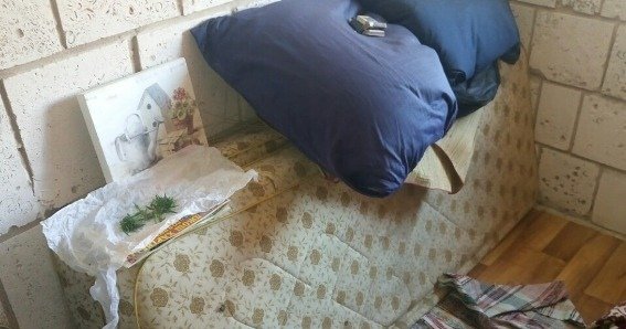 Під час обшуку в помешканні мукачівця поліцейські знайшли 100 грам марихуани – 03