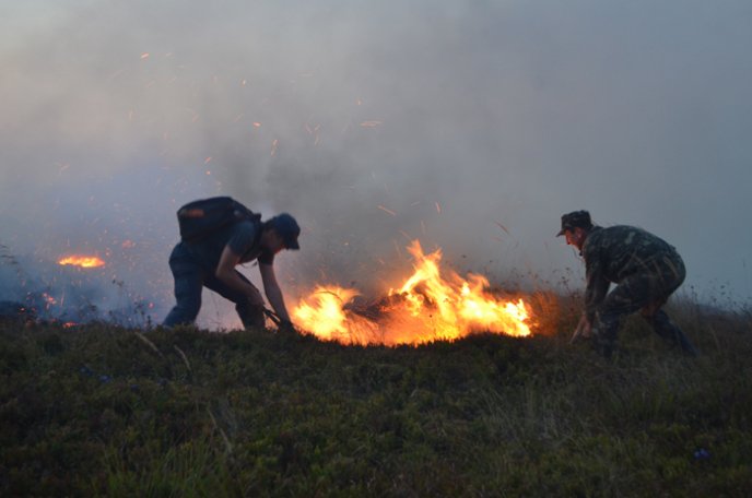 Вогнеборці попередили загорання лісу на високогір’ї Карпат – 06
