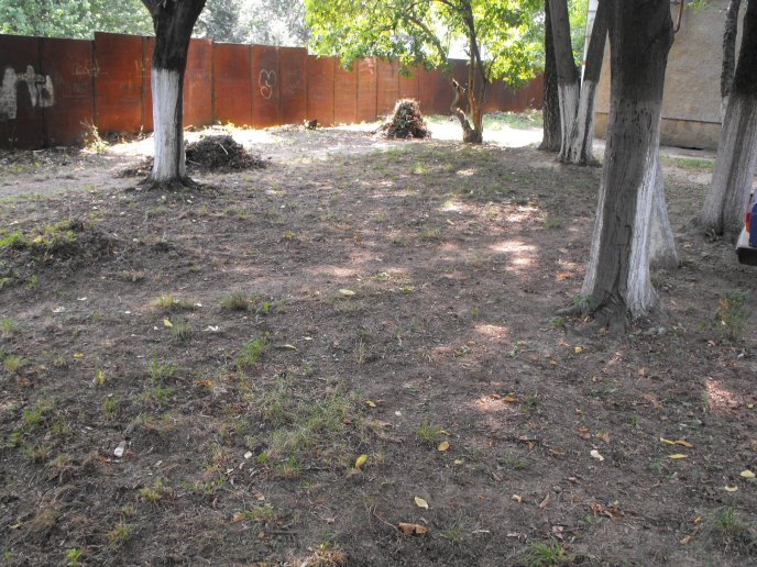 78-річна закарпатка зробила вчинок, який заслуговує на повагу – 04 78-річна закарпатка зробила вчинок, який заслуговує на повагу – 04