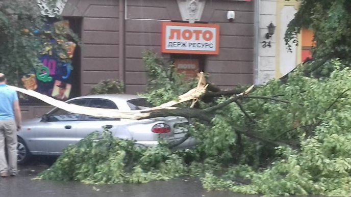 Буря в Ужгороді: дерева потрощили автомобілі  – 01