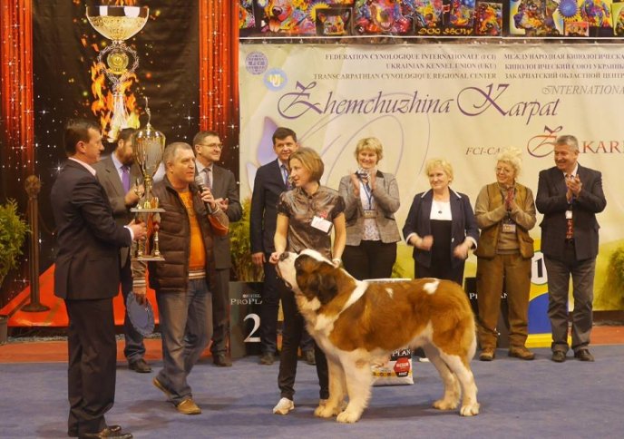 В Ужгороді визначили переможця Міжнародної виставки собак – 21