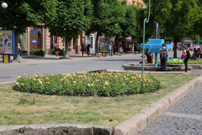 У центрі Мукачева висадили сотні квітів – 06