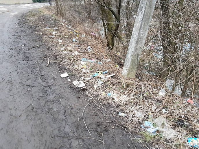 У Великому Березному роми влаштували велике прибирання на своїх прибудинкових територіях – 04 У Великому Березному роми влаштували велике прибирання на своїх прибудинкових територіях – 04