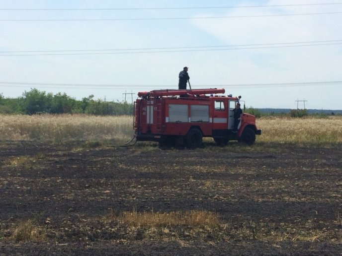 На Мукачівщині горіло пшеничне поле – 03 На Мукачівщині горіло пшеничне поле – 03