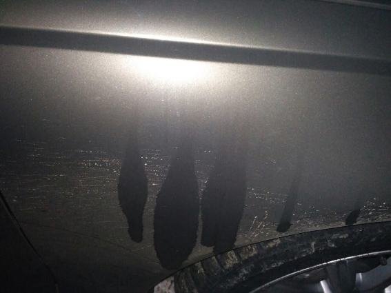 Розбірки на Рахівщині: власник іномарки "Audi", яку намагались підпалити, скоїв самосуд – 02 Розбірки на Рахівщині: власник іномарки "Audi", яку намагались підпалити, скоїв самосуд – 02