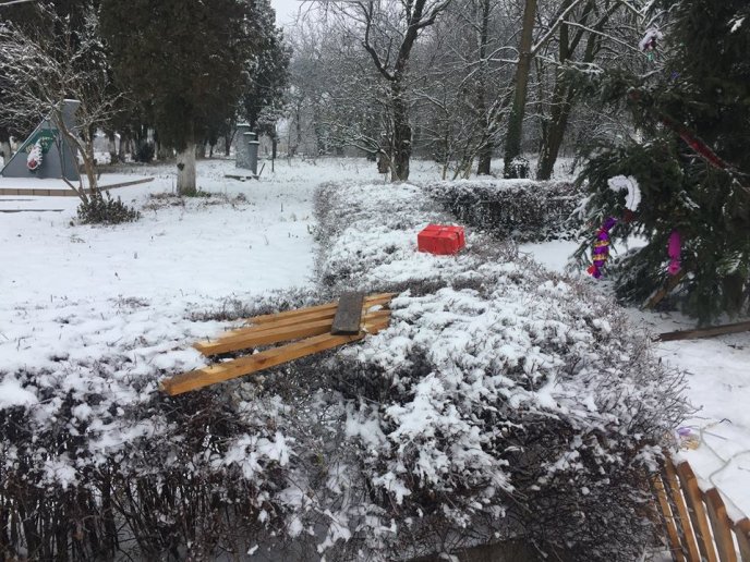 У Ракошині невідомий вандал розтрощив головну новорічну ялинку села – 02