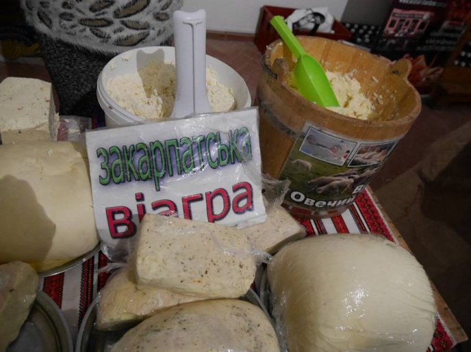 Гості фестивалю «Закарпатському Божоле» дегустують вина у підвалах «Совиного гнізда» – 09