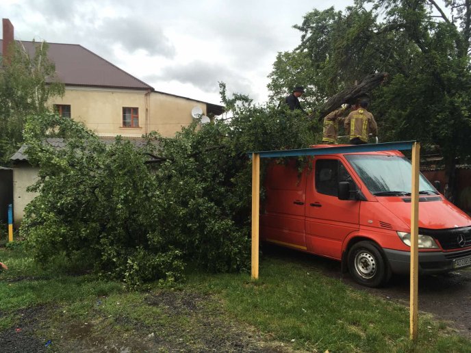 Минулої ночі потужний вітер повалив дерева: постраждало авто – 04