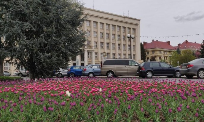 В Ужгороді масово розквітли тюльпани – 12 В Ужгороді масово розквітли тюльпани – 12