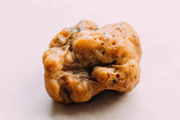 На Перечинщині знайшли гриба, який коштує кілька тисяч доларів – 01