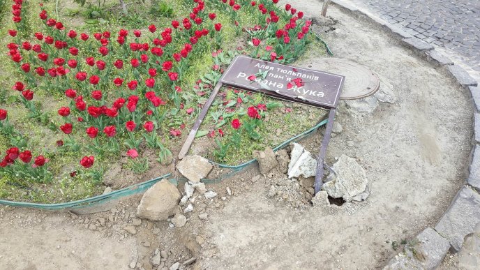 У Мукачеві пошкодили Алею тюльпанів пам’яті полеглого Романа Жука – 02