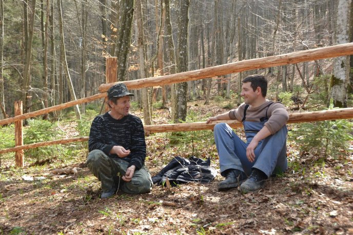 На околиці Колочави зі старого автобуса ЛАЗ зробили гігантський вулик – 04