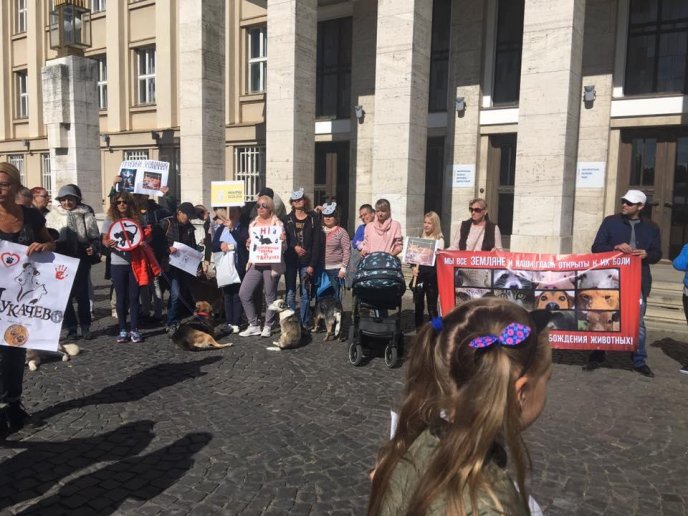 В Ужгороді відбувся марш за права тварин – 07