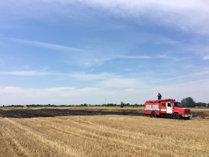 На Мукачівщині горіло пшеничне поле – 04 На Мукачівщині горіло пшеничне поле – 04