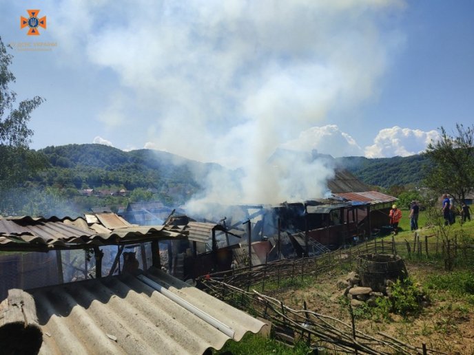 Рятувальники показали наслідки пожежі, яка вирувала у селі на Закарпатті – 02
