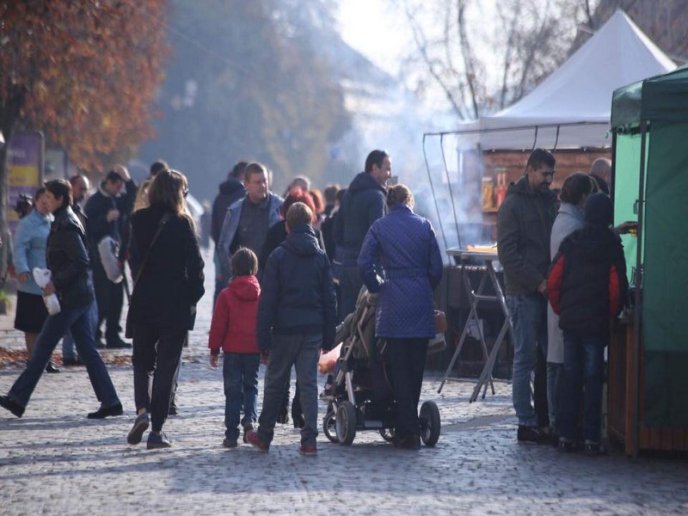 Смажена гуска, печені яблука і вино: у центрі Мукачева розпочався святковий ярмарок – 07